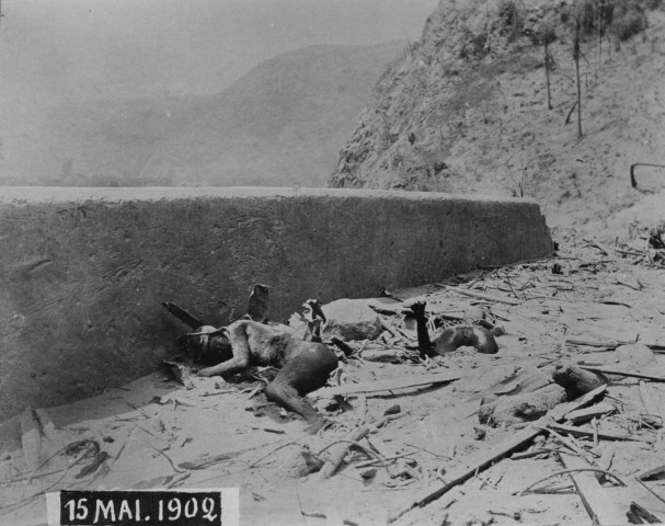 Saint-Pierre. Cadavres parmi les décombres après l'éruption du 08 mai 1902