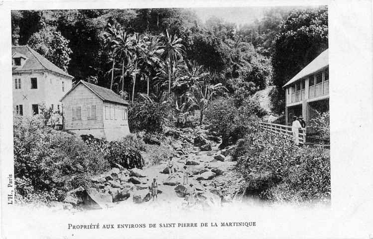 Propriété aux environs de Saint-Pierre de la Martinique