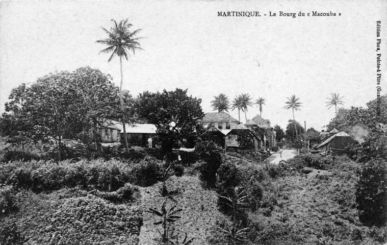 Martinique. Le bourg du Macouba