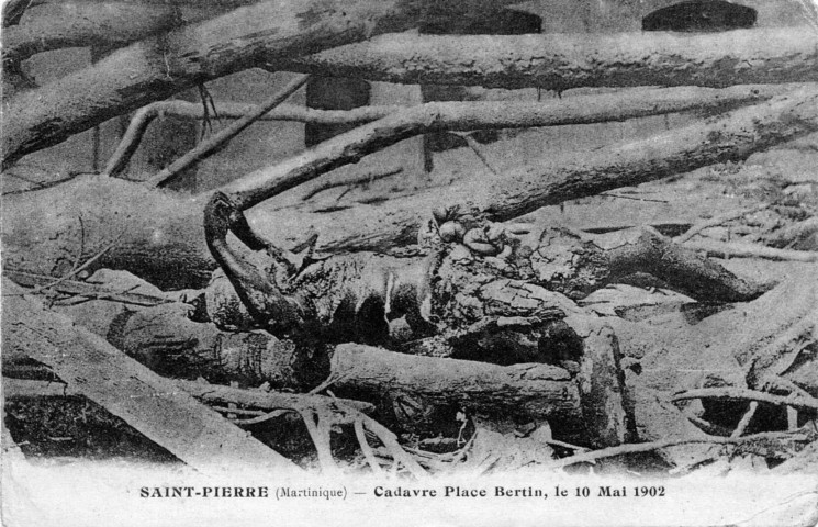 Martinique. Saint-Pierre. Cadavre place Bertin, le 10 mai 1902