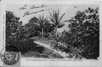 Saint-Pierre (Martinique). La route de la Trace, lieudit les Deux-Choux