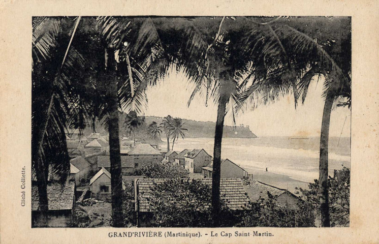 Martinique. Grand-Rivière. Le cap Saint Martin