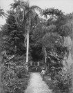 Saint-Pierre. Entrée du jardin botanique