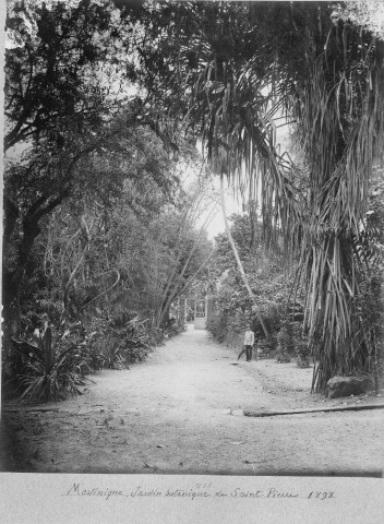 Saint-Pierre. Lac du jardin botanique