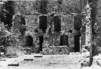 Saint-Pierre. Ruines du Figuier