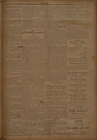 L'Opinion (n° 315)
