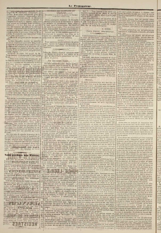 Le Propagateur (1880, n° 85)