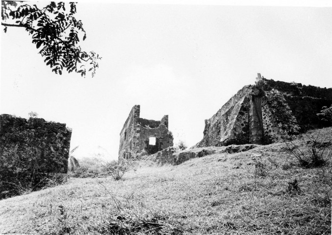 Trinité : château Dubuc