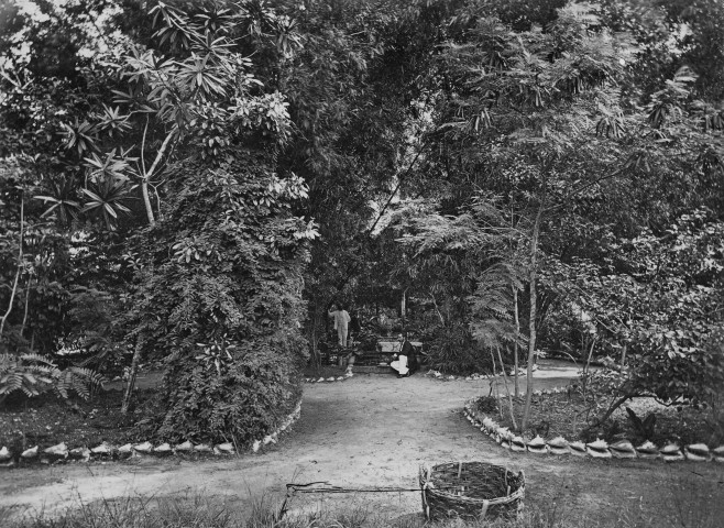 Fort-de-France. Intérieur du jardin du Gouverneur