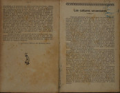 Bulletin agricole de la Martinique (1919, n° 7)