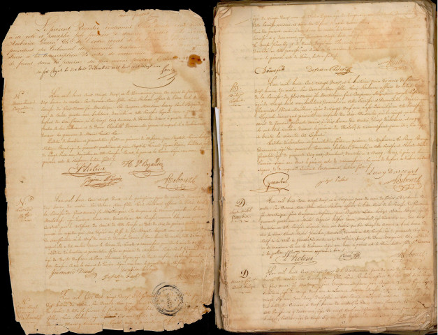 Population blanche et libre : 1830, population blanche seulement : naissances, mariages, décès