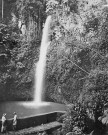 Saint-Pierre. Cascade du jardin botanique