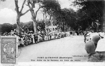 Martinique. Fort-de-France. Une allée de la Savane un jour de revue