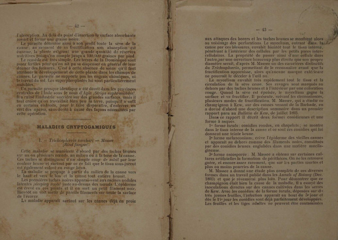 Bulletin agricole de la Martinique (octobre 1898)