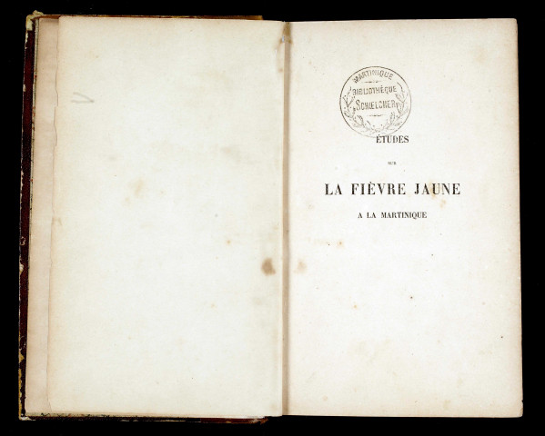 Etudes sur la fièvre jaune à la Martinique : de 1669 à nos jours; suivies d'un relevé des décès des hopitaux de Saint-Pierre et de Fort-de-France de 1826 à 1873