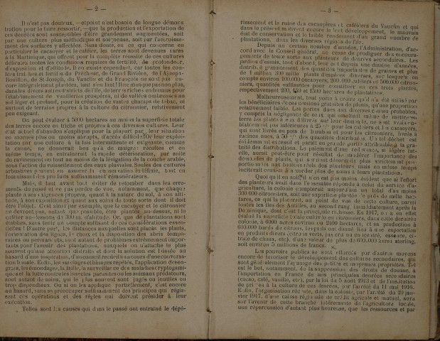 Bulletin agricole de la Martinique (1919, n° 7)