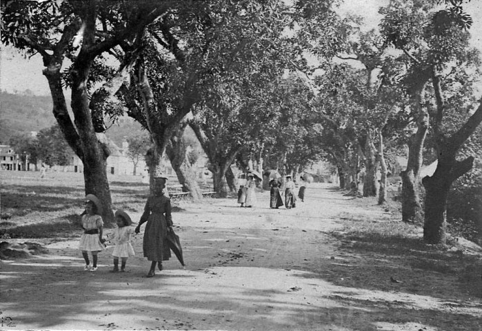 Fort-de-France. La Savane. L'allée des Soupirs, promenade des élégantes