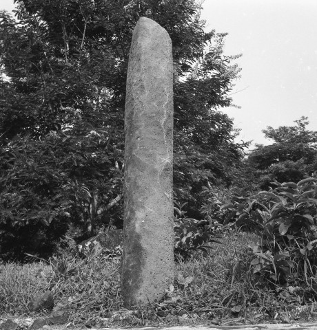 Les Trois-Îlets, habitation La Pagerie. matériel archéologique