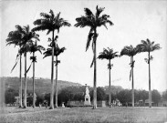 Fort-de-France. La Savane. Vue de la statue de l'impératrice Joséphine et des grands palmiers royaux