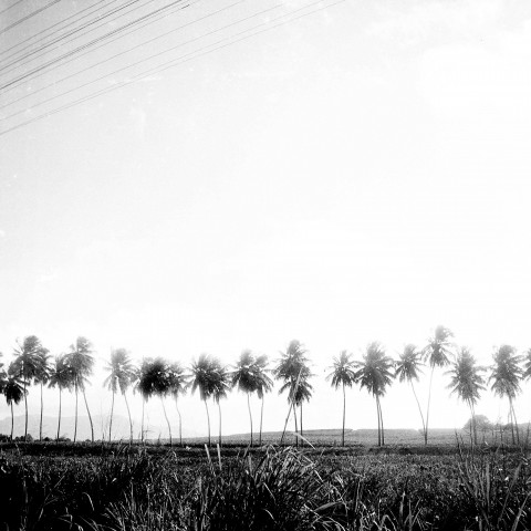 Sainte-Marie, milieu rural. écosystème tropical