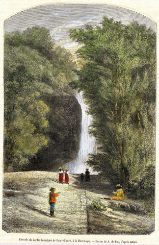 Cascade du jardin botanique de Saint-Pierre à la Martinique