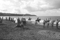 Sainte-Marie. fêtes patronales et évènements sportifs (course de chevaux, Yoles Rondes, sebi) sur la plage et en mer