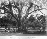 Fort-de-France. Place de l'église et sablier de la Savane