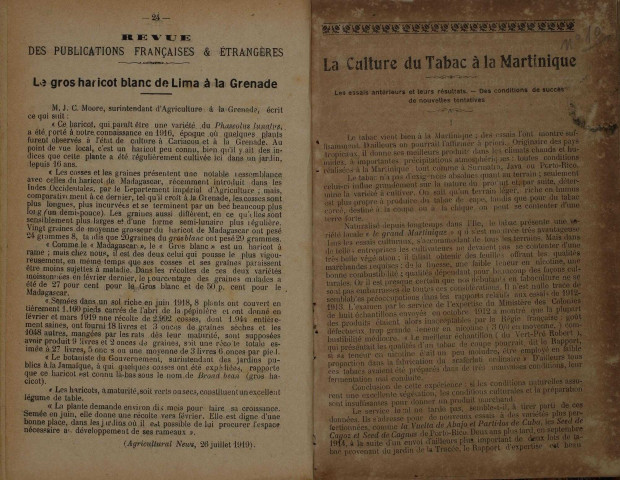 Bulletin agricole de la Martinique (1919, n° 10)