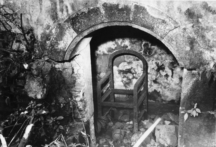 Saint-Pierre. Ruines de la maison coloniale de santé, chaise de force