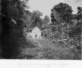 Fort-de-France. Absalon. Source d'eau thermale