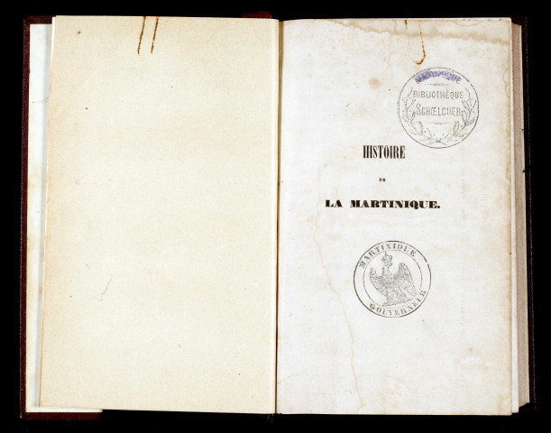 Histoire de la Martinique, depuis la colonisation jusqu'en 1815 (tome V)