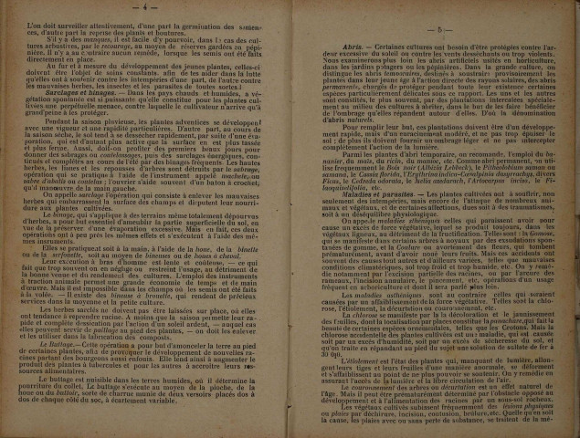 Bulletin agricole de la Martinique (1919, n° 8)