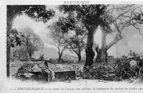 Martinique. Fort-de-France. Le pont de l'Allée des Soupirs, le lendemain du cyclone du 09 août 1903
