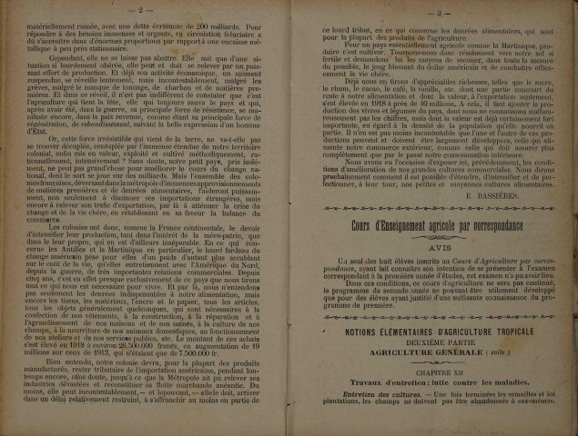 Bulletin agricole de la Martinique (1919, n° 8)