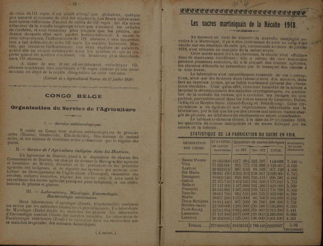 Bulletin agricole de la Martinique (1919, n° 4)