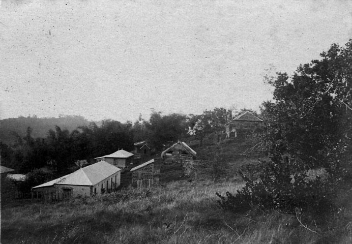 Fort-de-France et ses environs. Ensemble de maisons sur les hauteurs