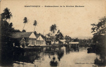 Martinique. Embouchure de la Rivière Madame