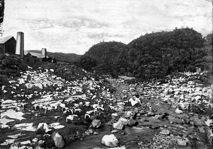 Martinique. Région du Nord. Lavandières