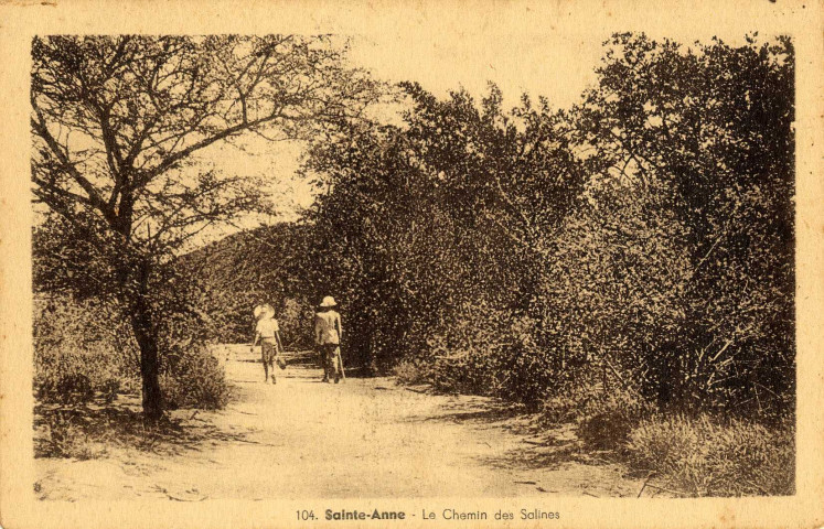 Martinique. Saint-Anne. Le chemin des Salines