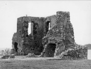 Trinité. Ruines du château Dubuc