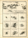 Supplément pour les lsles Antilles, extrait des cartes Angloises