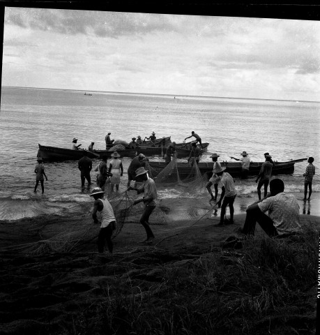 Le Carbet. partie de pêche : pêcheurs ramenant leur filet