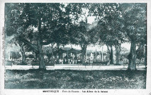 Martinique. Fort-de-France. Les allées de la Savane