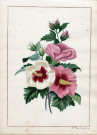 Variété de fleurs