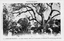 Fort-de-France. Le gros sablier, près de la compagnie Salleron le lendemain du cyclone du 9 août 1903