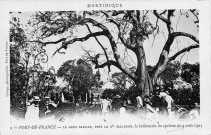 Fort-de-France. Le gros sablier, près de la compagnie Salleron le lendemain du cyclone du 9 août 1903