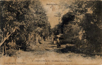 Martinique. Fort-de-France. Un chemin dans la brousse