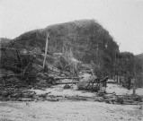 Saint-Pierre. Arbres dévastés après l'éruption du 08 mai 1902