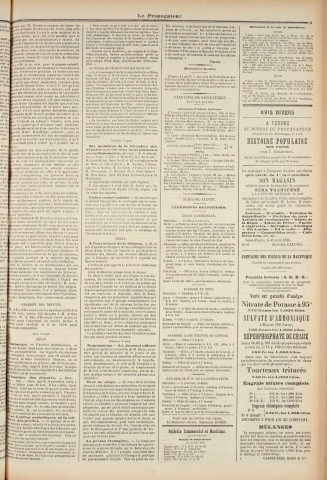 Le Propagateur (1876, n° 30)