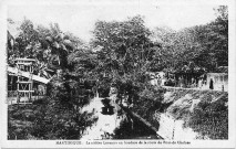 Martinique. La Rivière Levassor en bordure de la route de Pont de Chaînes